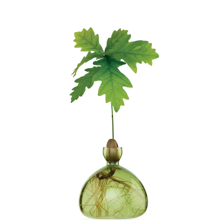 Acorn Vase