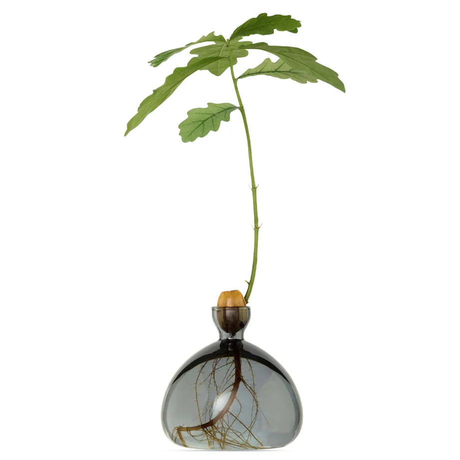 Acorn Vase - Image 4