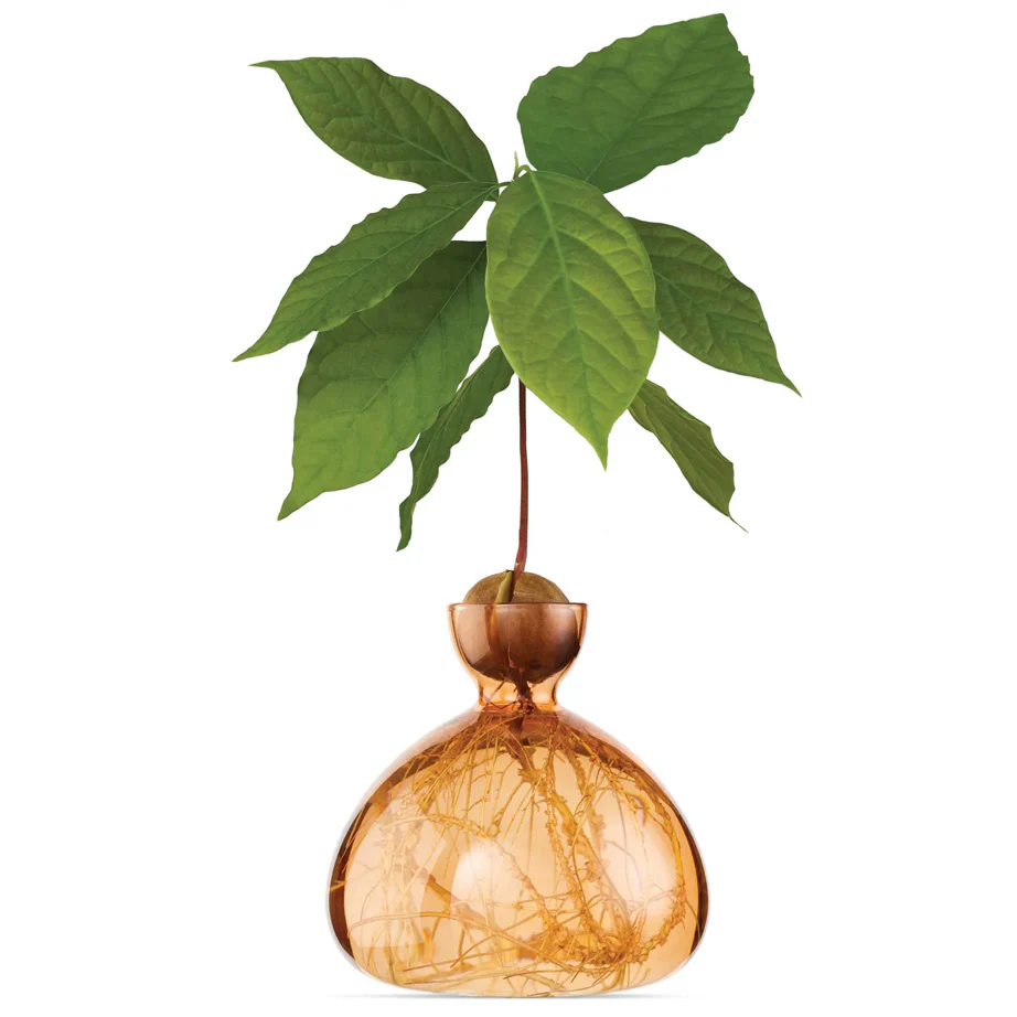Avocado Vase - Image 6