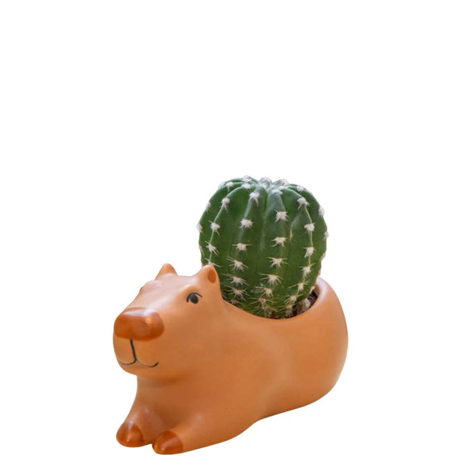Cappy the Capybara Planter - Image 2