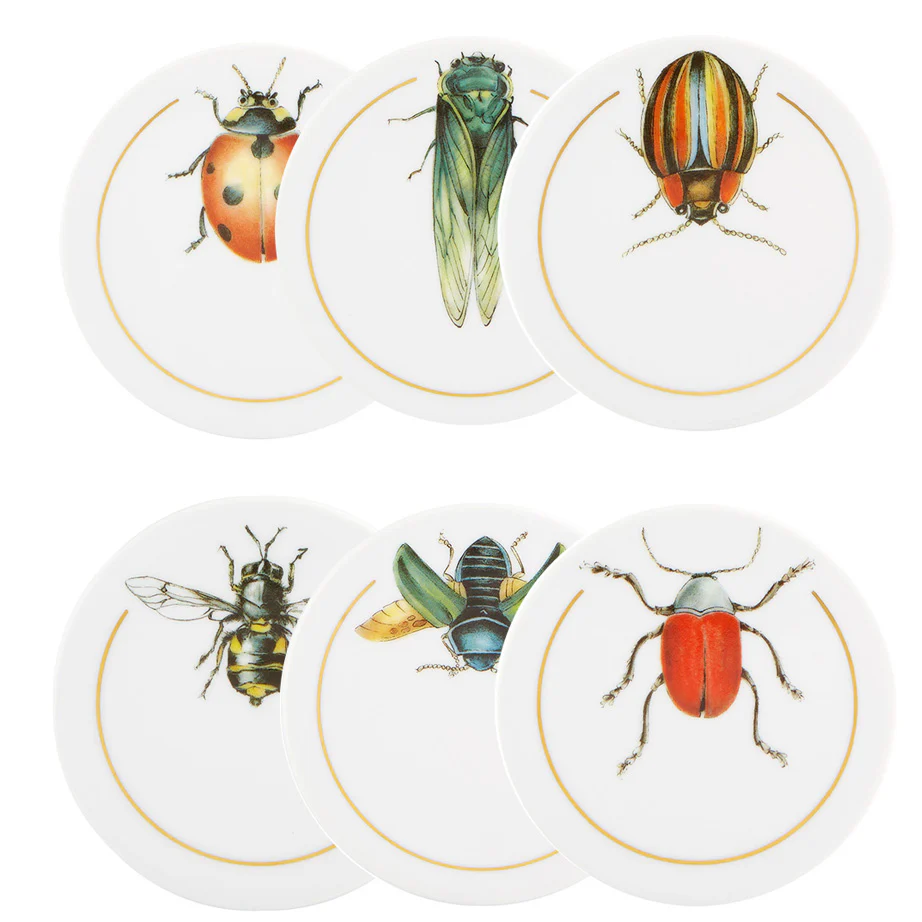 Insetos Coaster Set