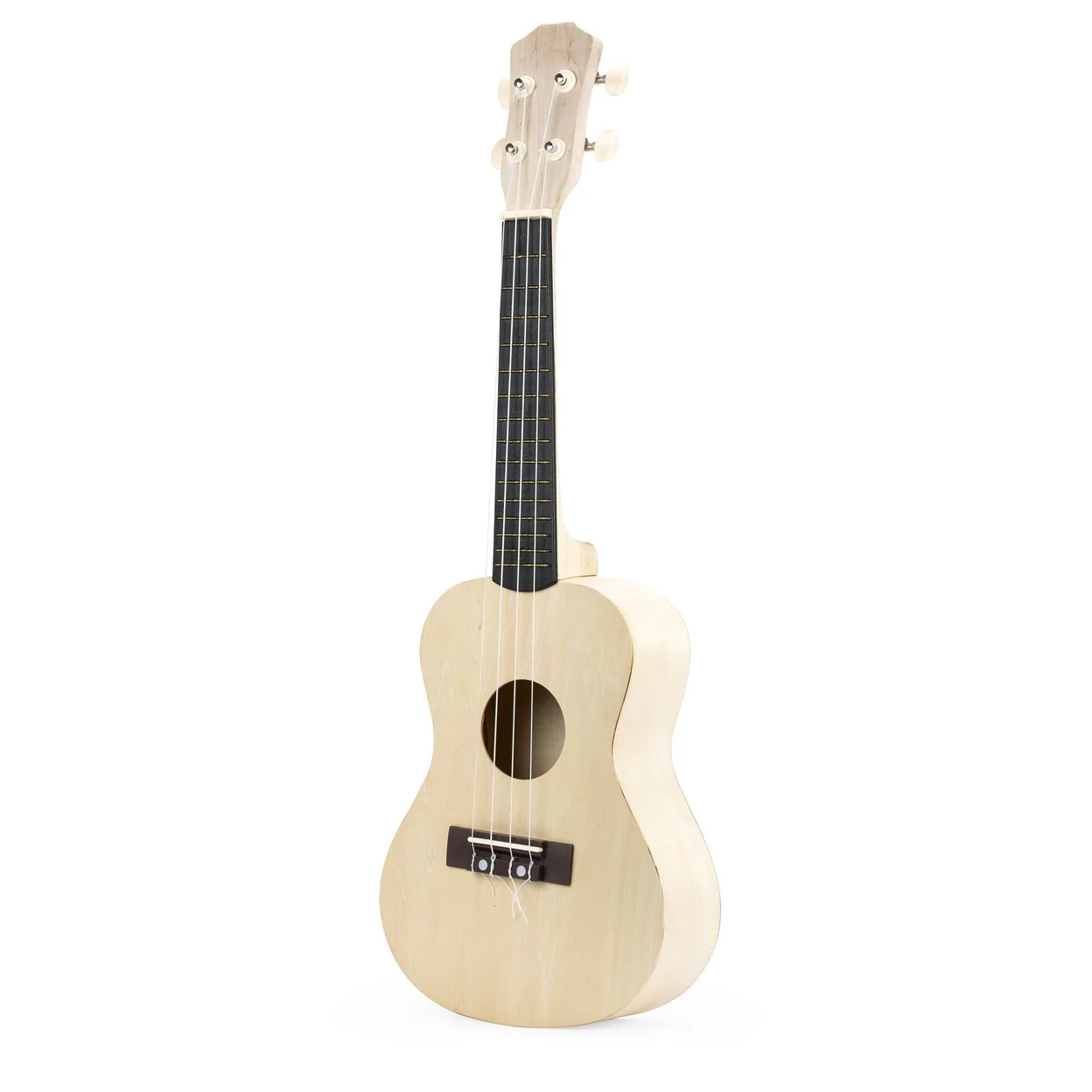 Make Your Own Musical Instrument - Image 3