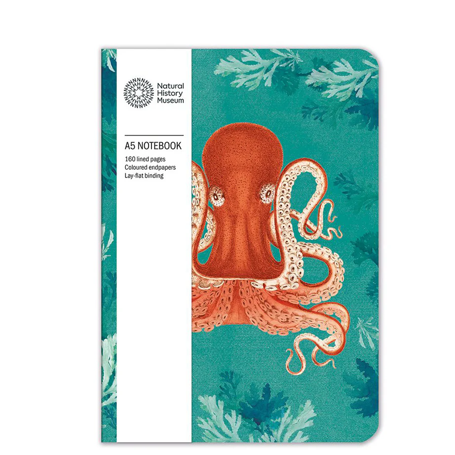 Museums & Galleries Notebooks - Image 11