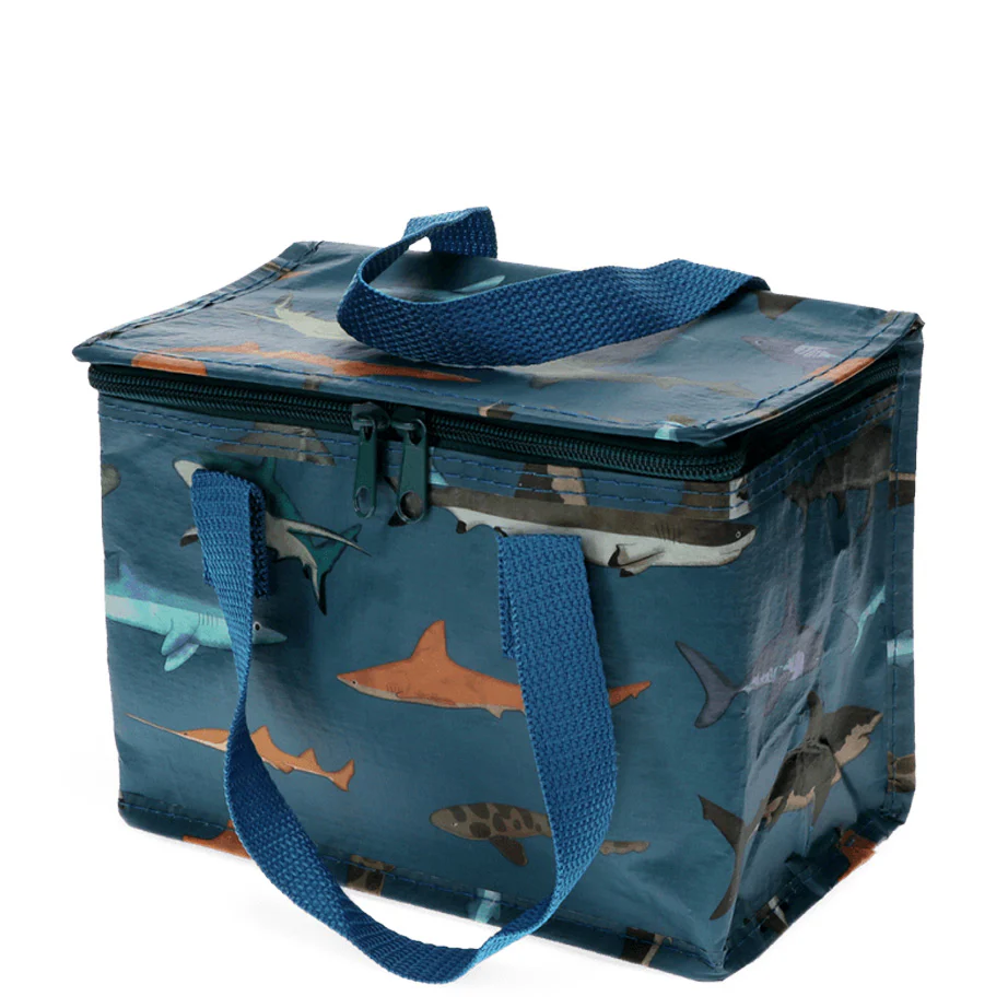 Shark Collection - Image 3